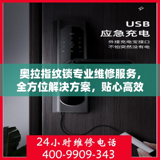 奥拉指纹锁专业维修服务，全方位解决方案，贴心高效保障您的安全之选