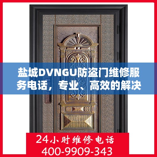 盐城DVNGU防盗门维修服务电话，专业、高效的解决方案