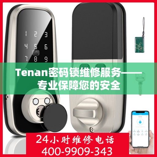 Tenan密码锁维修服务——专业保障您的安全