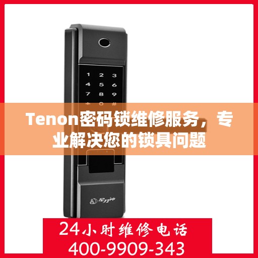 Tenon密码锁维修服务，专业解决您的锁具问题