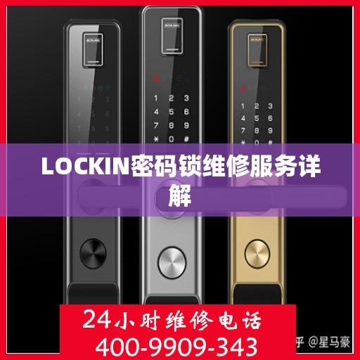 LOCKIN密码锁维修服务详解