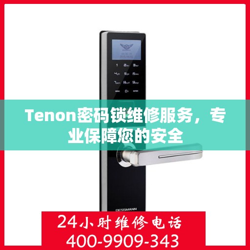 Tenon密码锁维修服务，专业保障您的安全