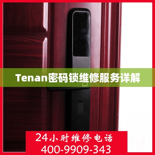 Tenan密码锁维修服务详解