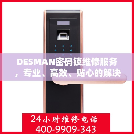 DESMAN密码锁维修服务，专业、高效、贴心的解决方案