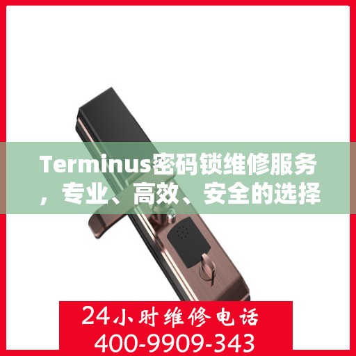 Terminus密码锁维修服务，专业、高效、安全的选择