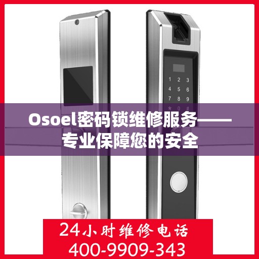 Osoel密码锁维修服务——专业保障您的安全