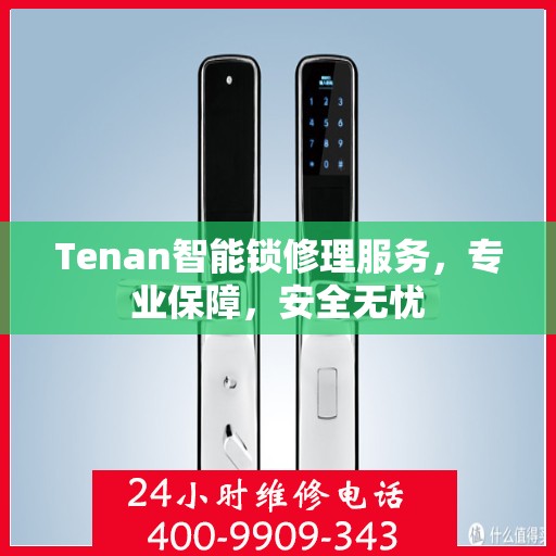 Tenan智能锁修理服务，专业保障，安全无忧