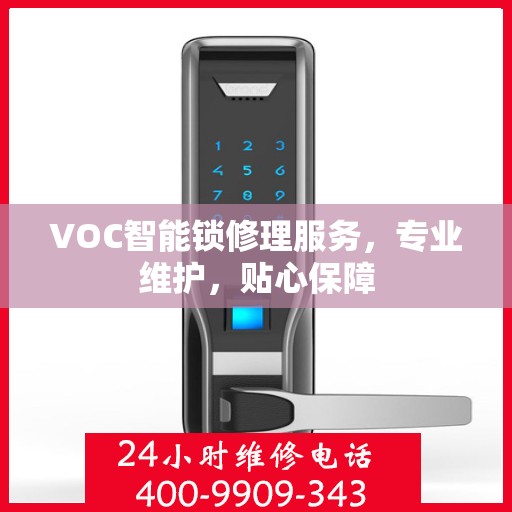 VOC智能锁修理服务，专业维护，贴心保障