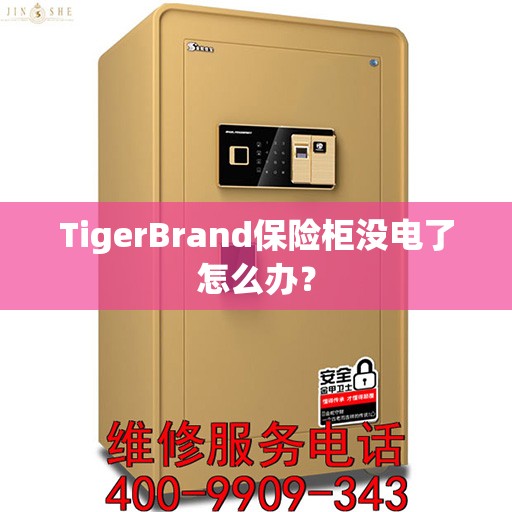 TigerBrand保险柜没电了怎么办？