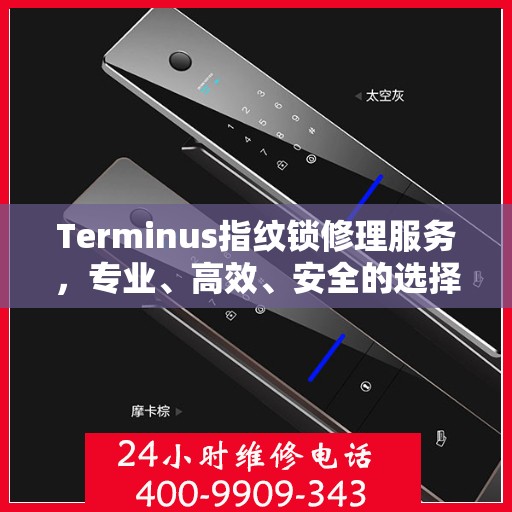 Terminus指纹锁修理服务，专业、高效、安全的选择