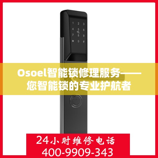 Osoel智能锁修理服务——您智能锁的专业护航者