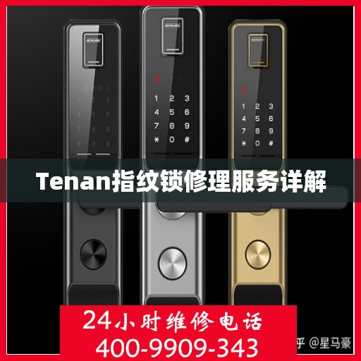 Tenan指纹锁修理服务详解