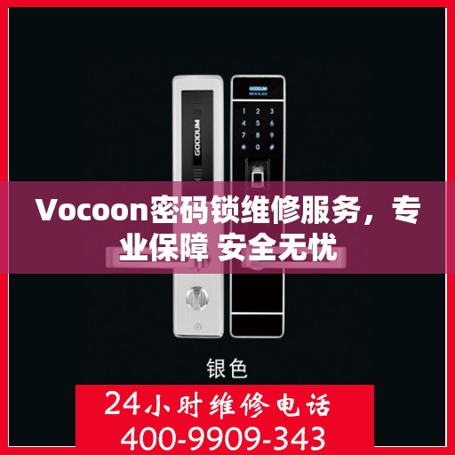 Vocoon密码锁维修服务，专业保障 安全无忧