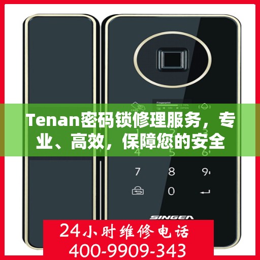 Tenan密码锁修理服务，专业、高效，保障您的安全