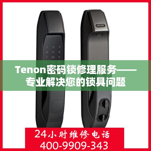 Tenon密码锁修理服务——专业解决您的锁具问题