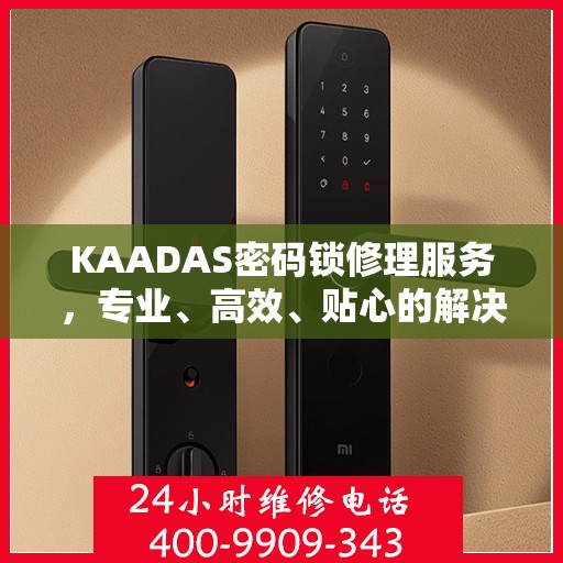 KAADAS密码锁修理服务，专业、高效、贴心的解决方案