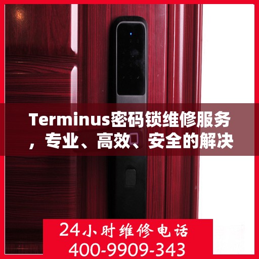 Terminus密码锁维修服务，专业、高效、安全的解决方案