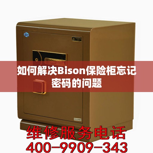 如何解决Bison保险柜忘记密码的问题