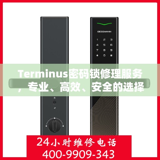 Terminus密码锁修理服务，专业、高效、安全的选择