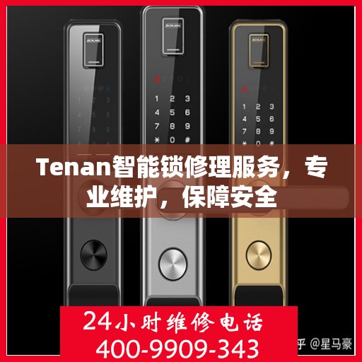 Tenan智能锁修理服务，专业维护，保障安全