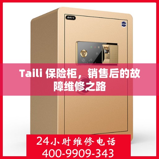 Taili 保险柜，销售后的故障维修之路