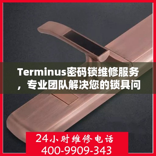 Terminus密码锁维修服务，专业团队解决您的锁具问题