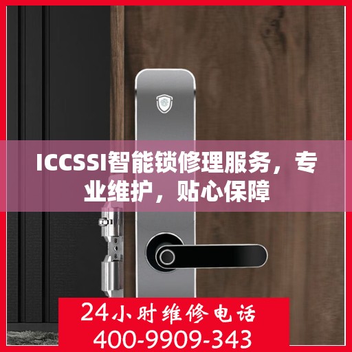 ICCSSI智能锁修理服务，专业维护，贴心保障