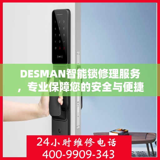 DESMAN智能锁修理服务，专业保障您的安全与便捷