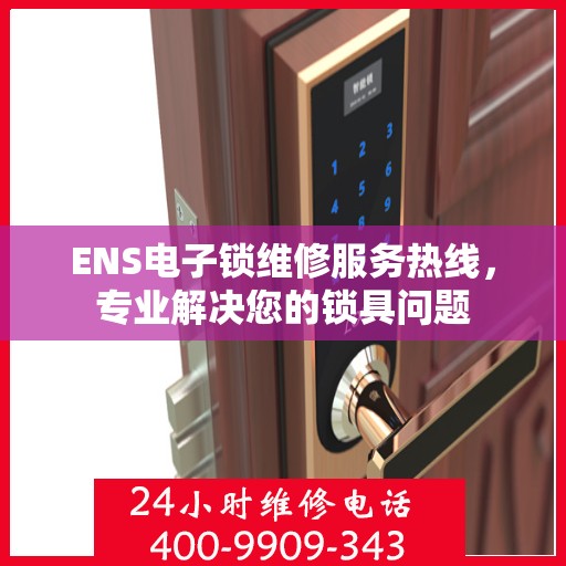 ENS电子锁维修服务热线，专业解决您的锁具问题