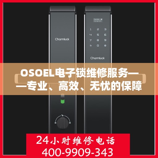 OSOEL电子锁维修服务——专业、高效、无忧的保障