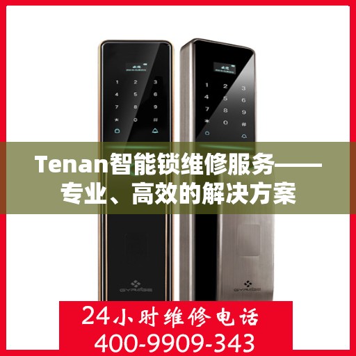 Tenan智能锁维修服务——专业、高效的解决方案