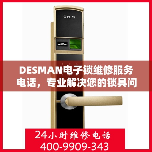 DESMAN电子锁维修服务电话，专业解决您的锁具问题