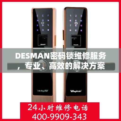 DESMAN密码锁维修服务，专业、高效的解决方案