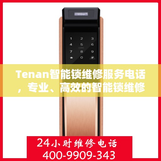 Tenan智能锁维修服务电话，专业、高效的智能锁维修解决方案