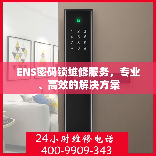 ENS密码锁维修服务，专业、高效的解决方案