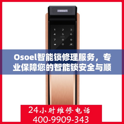 Osoel智能锁修理服务，专业保障您的智能锁安全与顺畅运行