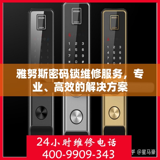 雅努斯密码锁维修服务，专业、高效的解决方案