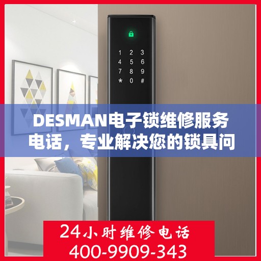 DESMAN电子锁维修服务电话，专业解决您的锁具问题