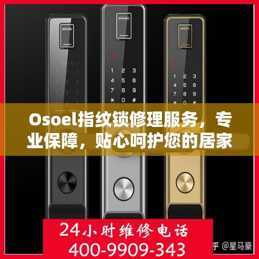 Osoel指纹锁修理服务，专业保障，贴心呵护您的居家安全