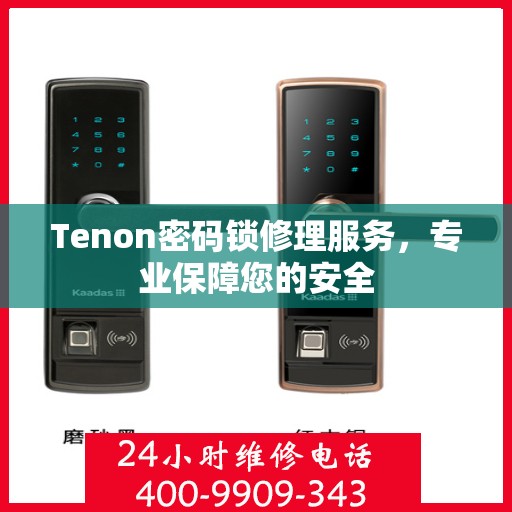 Tenon密码锁修理服务，专业保障您的安全