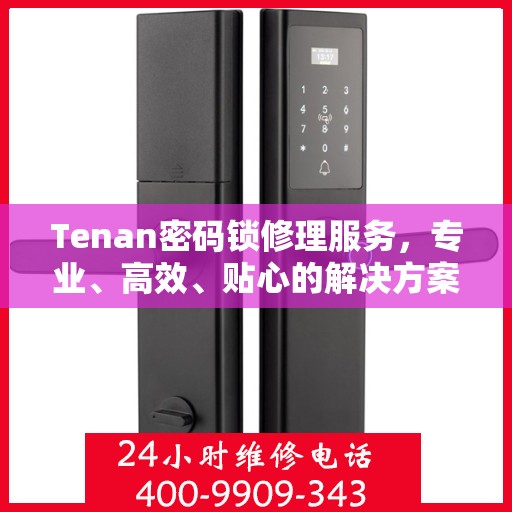 Tenan密码锁修理服务，专业、高效、贴心的解决方案