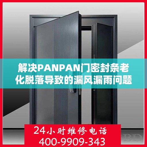 解决PANPAN门密封条老化脱落导致的漏风漏雨问题