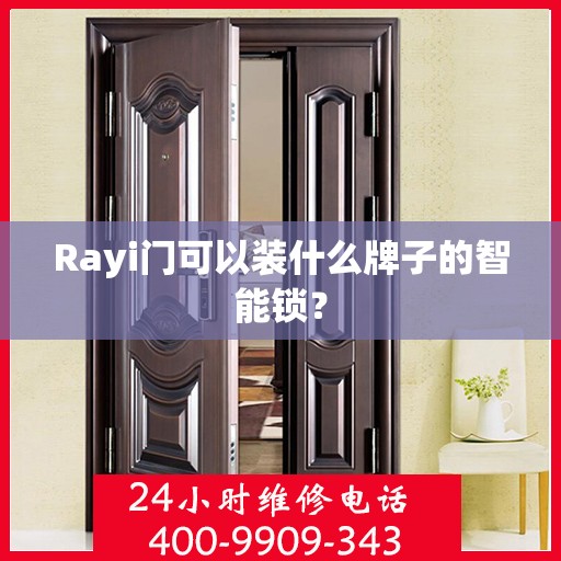 Rayi门可以装什么牌子的智能锁？