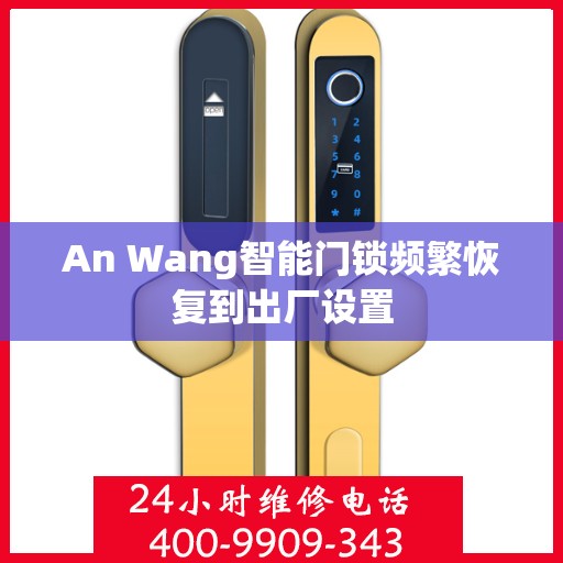 An Wang智能门锁频繁恢复到出厂设置