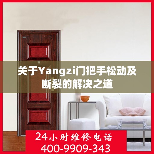 关于Yangzi门把手松动及断裂的解决之道