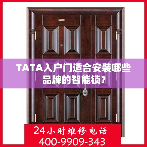 TATA入户门适合安装哪些品牌的智能锁？