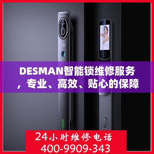 DESMAN智能锁维修服务，专业、高效、贴心的保障