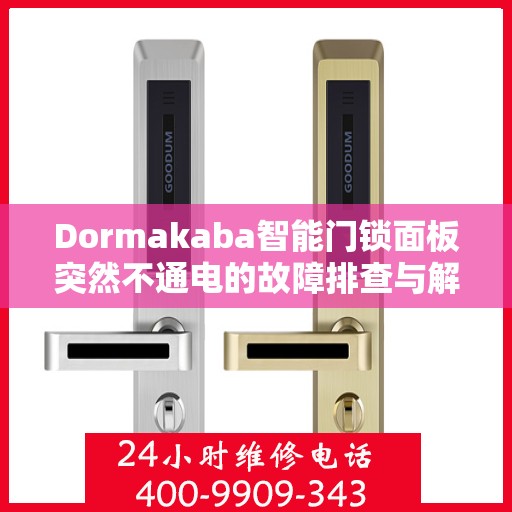 Dormakaba智能门锁面板突然不通电的故障排查与解决方法