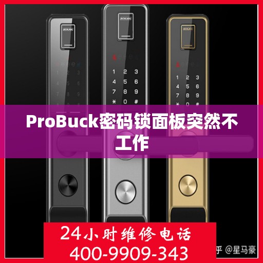 ProBuck密码锁面板突然不工作