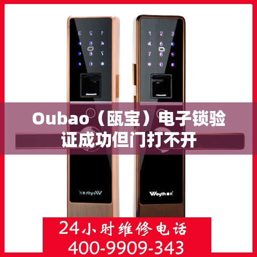 Oubao（瓯宝）电子锁验证成功但门打不开